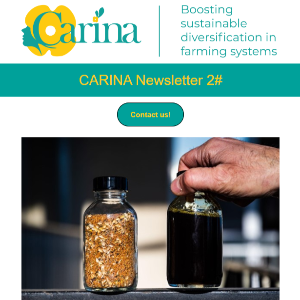 CARINA Project’s 2nd Newsletter