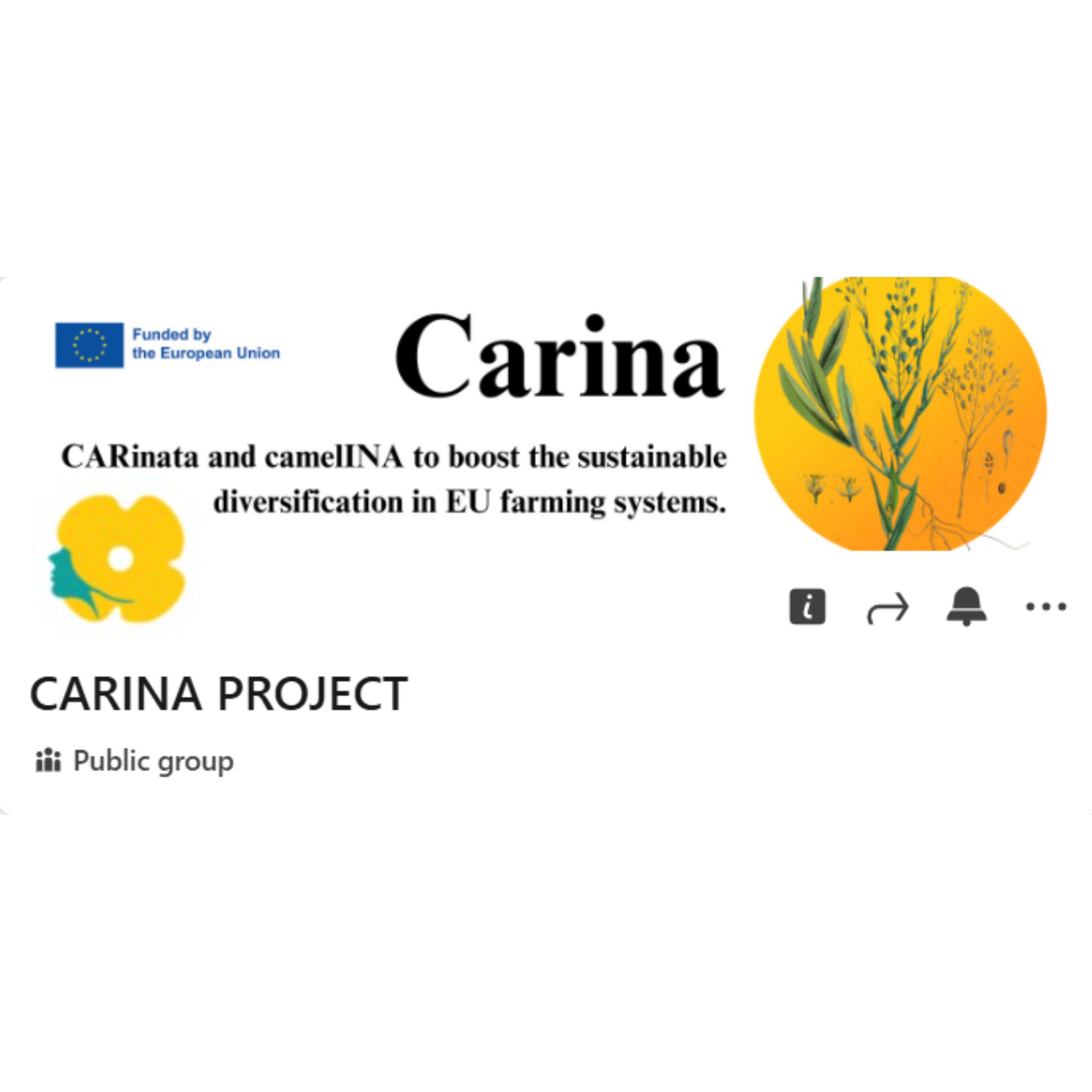 Introducing the CARINA LinkedIn Group