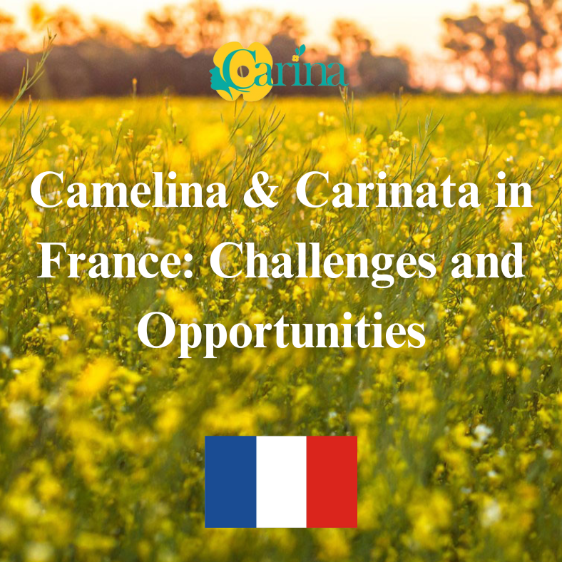 Challenges & Opportunities for Camelina and Carinata in France